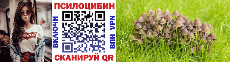 Псилоцибиновые грибы Cubensis  закладка  blacksprut как войти  Невель 